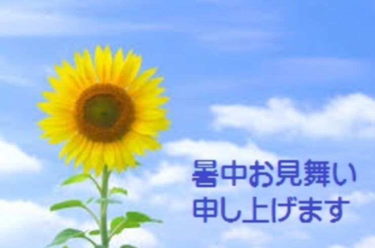 ひまわり３